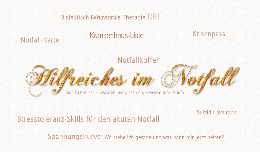 Krankenhaus-Liste Skills www.blumenwiesen.org Monika Kreusel