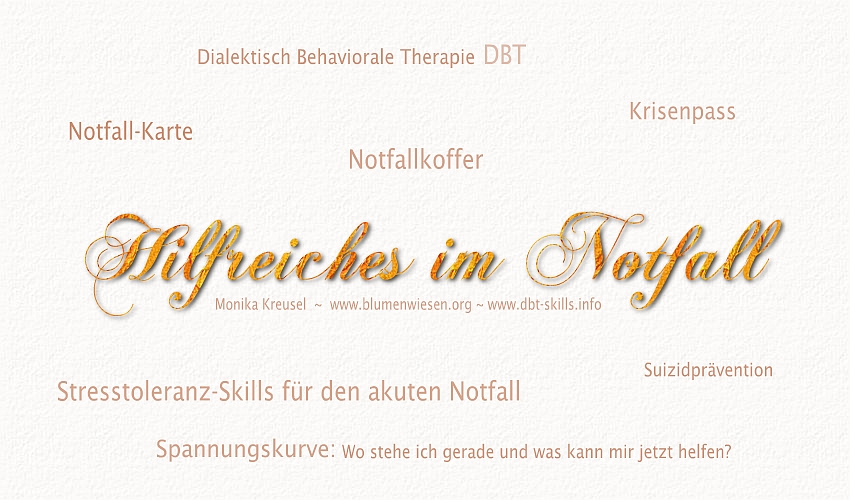 Monika Kreusel ~ www.blumenwiesen.org: Die Notfall-Karte mit deinen 4 hilfreichsten DBT-Skills in Hochstress-Situationen
